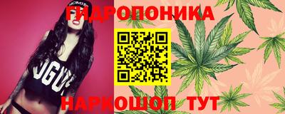 гидропоника Коммунар