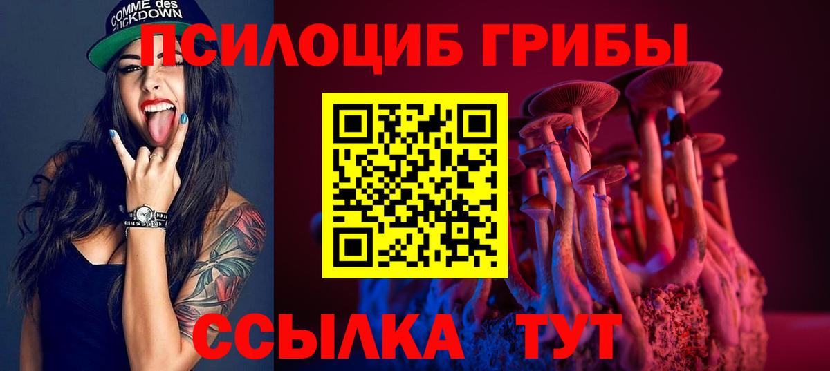 купить  цена  Вход с VPN  Галлюциногенные грибы Magic Shrooms  Каспийск  Псилоцибиновые грибы Psilocybe 