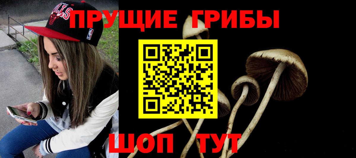 Галлюциногенные грибы MAGIC MUSHROOMS Каспийск